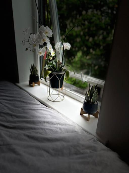 Stunning Luxury Croydon Apartment Gatwick Airport Close เพอร์ลีย์ ภายนอก รูปภาพ